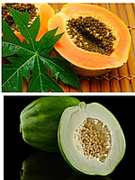 Набір насіння папай, два види ( Рідкісний сорт Carica papaya 'Gabon Melon + Каріка папайя - Carica papaya)