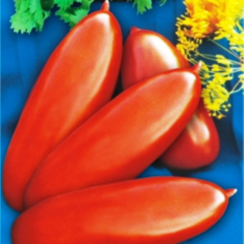 Насіння томатів Дамські пальчики