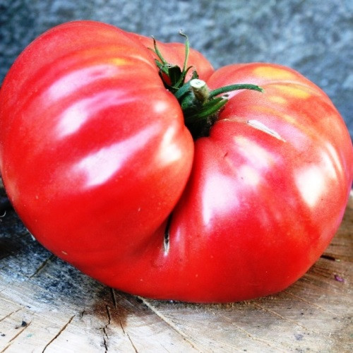 Насіння томатів Мільйонер рожевий