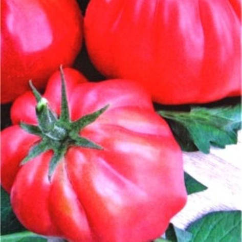 Насіння томатів Шарпай рожевий, фото 1