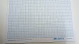 Папір масштабно-координатний для креслення "Графіка" / міліметровий блакитний / А4 20 аркушів, фото 5