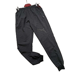 Чоловічі спортивні штани Puma c манжетами  XL (48-50)