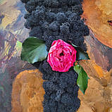 Картина з мохом - портрет жінки олійними фарбами та стабілізований мох, фото 5