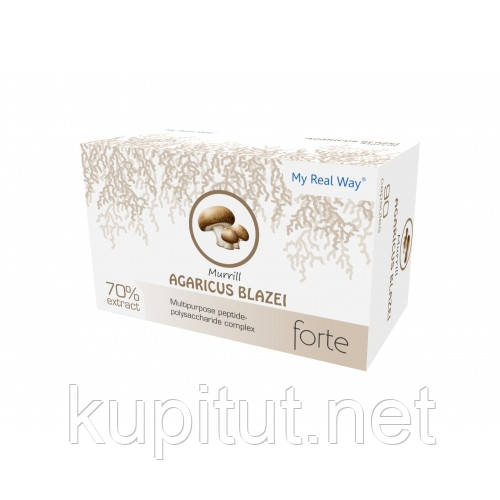 Agaricus Blazei Murrill forte 70% пептидо-полісахаридів гриба Агарика бразильського, фото 1