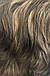 Перука жіноча штучна коротка стрижка колір русявий, фото 4