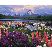 Картина по номерам Brushme Долина полевых цветов 40 на 50 см пейзаж горы для взрослых раскраска картинки