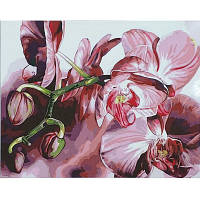 Картина по номерам STRATEG Невероятные цветы 40 на 50 см цветы орхидеи для взрослых раскраска картинки цифрам