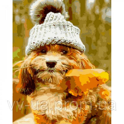 Картина за номерами STRATEG Пес у пухнастій шапці 40 на 50 см тварини собаки для дорослих розмальовка за номерах малюнки розпис