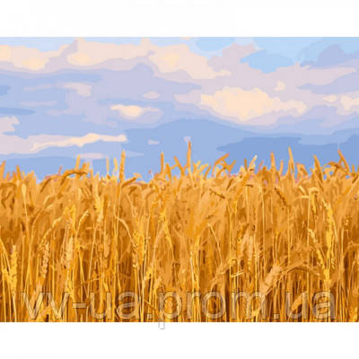 Картина за номерами STRATEG Пшеничне поле 40 на 50 см пейзаж для дорослих розмальовка за номерах малюнки розпис кухню малювати