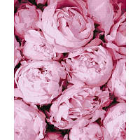 Картина по номерам Идейка Розовая нежность 40 на 50 см цветы пионы для взрослых раскраска картинки цифрам