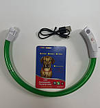 Нашийник для собак з підсвіткою D12см довжина 35см(1757), фото 2