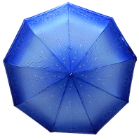 Зонтик на 9 спиц полуавтомат антиветер Toprain 421 голубой