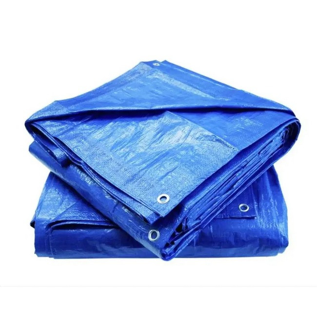 Тент садовий для навісу Wilmar 60г/м2 Blue 6х10 м S