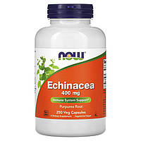 Ехінацея (Echinacea Purpurea), Now Foods, 400 мг, 250 капсул