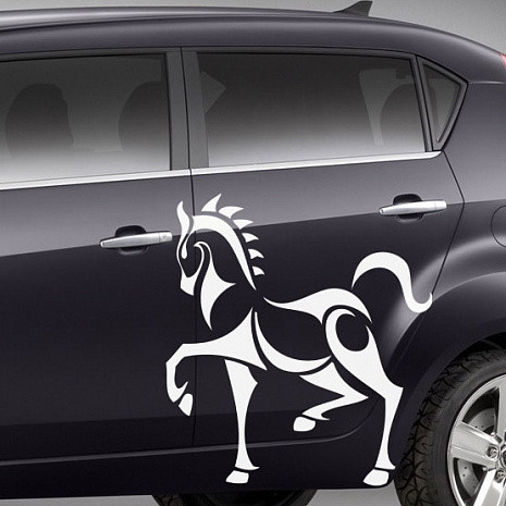 Вінілові наклейки з оракалу на автомобілі (транспортні засоби)