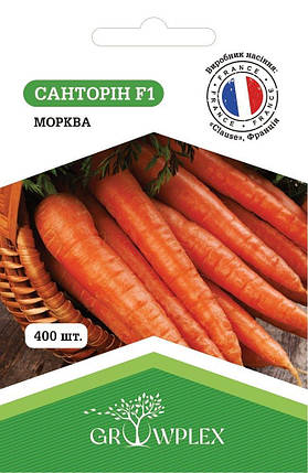 Насіння Моркви Санторін F1 0,5г (Clause) ТМ GROWPLEX, фото 1