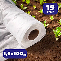 Спанбонд в рулонах агроволокно 19 г/м² белое 1,6 х100 м Shadow для теплиц и винограда на зиму от заморозко AGN