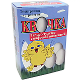 Терморегулятор Квочка для інкубатора цифровий, фото 3