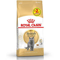 Royal Canin British Shorthair Adult сухой корм для котов породы британская короткошерстная от 12 месяцев 10 кг