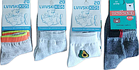 Детские носки Lvivski Kids сетка размер 20