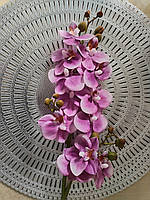 9023 017 Орхідея "Фаленопсис", фіолетова, 70 см