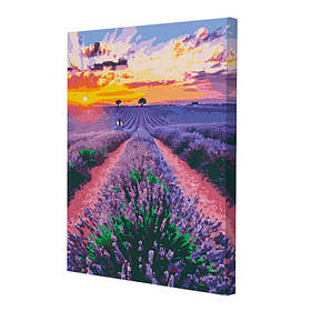 Картина за номерами Riviera Blanca Лавандові мрії 40x50 см (RB-0041)
