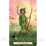 Таро Відьма Щодня Everyday Witch Tarot Подарунковий набір, фото 3