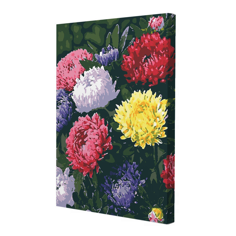 Картина за номерами Riviera Blanca Веселкові айстри 28x40 см (RB-0156)