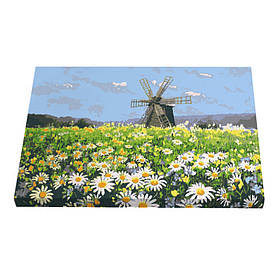 Картина за номерами Riviera Blanca Ромашкове поле 28x40 см (RB-0160)