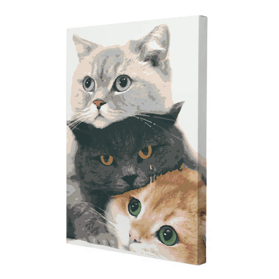 Картина за номерами Riviera Blanca Муркотуни 28x40 см (RB-0172)