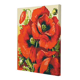 Картина за номерами Riviera Blanca Маки 40x50 см (RB-0244)