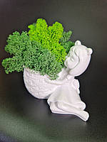 Фигурное кашпо со стабилизированным мхом Комнатные растения Особый подарок маме Декор для дома