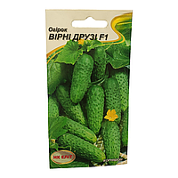 Насіння (посівний) огірків корнішон ранньостиглий "Вірні друзі F1" | 15шт | HK Еліт