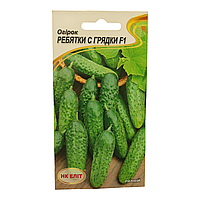 Насіння (посівний) огірків для салатів та засолювання ранньостиглий "Діти з грядки F1" | 20шт | HK Еліт
