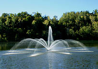 Преміумнасадка Madrone на фонтан