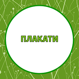 Плакати