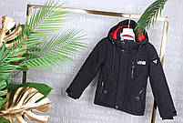 Куртка юніор демісезонна з капюшоном розміри 40-48 (5 кв) "AMD" недорого від прямого постачальника