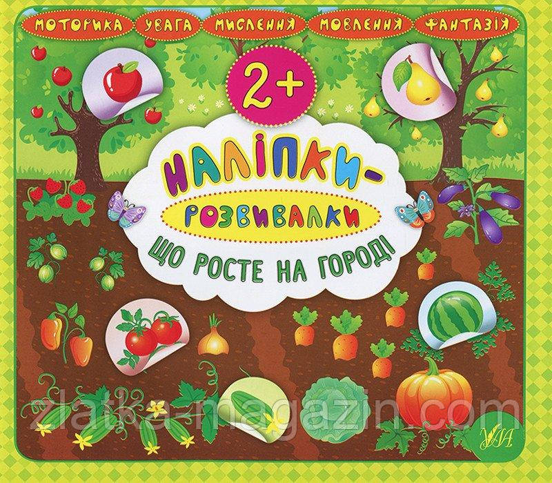 Наліпки-розвивалки. Що росте на городі