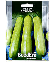 Кабачок Аспірант