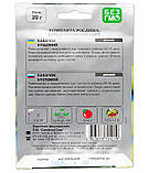 Кабачок Кустовий, фото 2