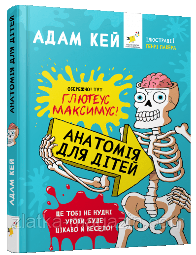 Анатомія для дітей