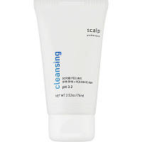 Скраб для кожи головы Scalp Cleansing Scrub Peeling 75 мл 4820266830823 n