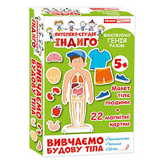 Дитяча розвивальна гра на магнітах. Вивчаємо будову тіла 13109081, 22 картки в наборі