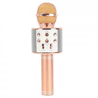 Микрофон DM Karaoke WS-858! Полезный