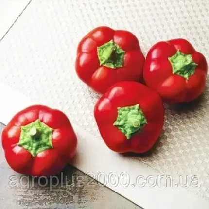 Насіння Перець солодкий Обрій 0,3 грама Садиба центр Традиція, фото 2