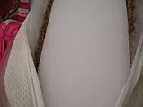 Матрац у дитяче ліжечко Люкс Aloe Vera 120*60*11 см, кокос паралон кокос, фото 2