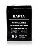 Аккумуляторная батарея маленькая 6В 5,5Ач BAPTA   BP-610, фото 5