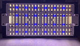 Led фітосвітильник Quantum Board Samsung LM301H EVO 150 Вт + VEGA/BLOOM, фото 3