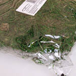 Іспанський мох 100 грам, фото 2