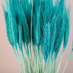 Натуральна пшениця блакитна, фото 2